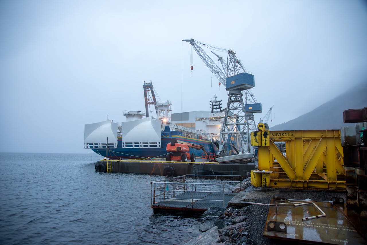 Pexels Photo 35206553